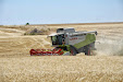 Harvesting barley 2013 with Claas Lexion