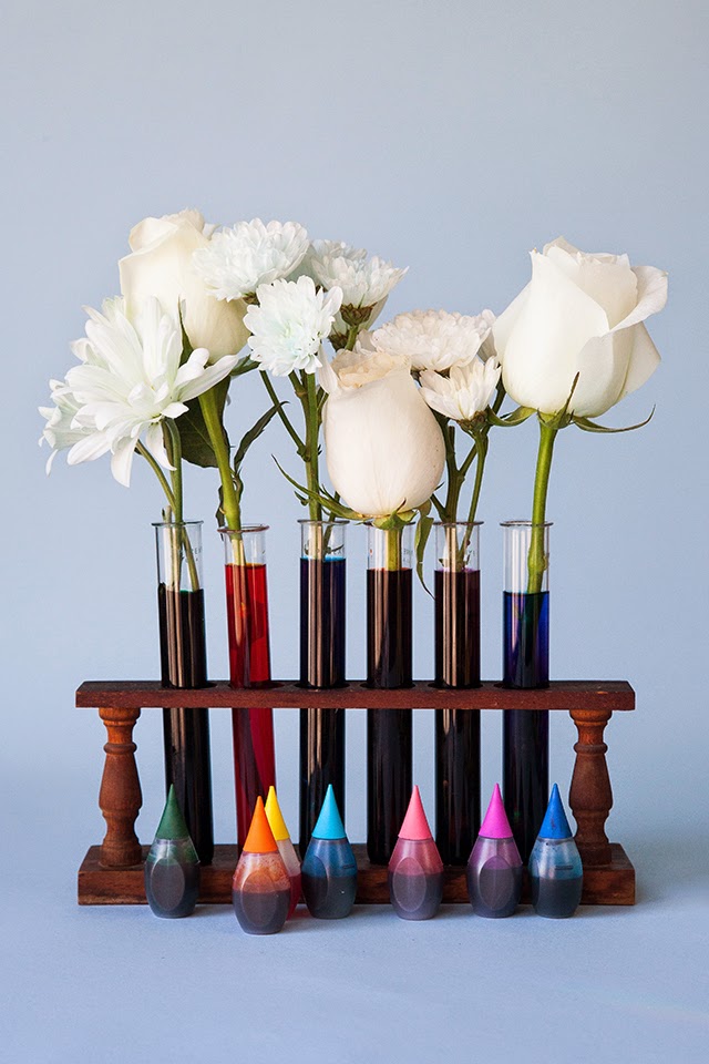 Miniature Rhino Bright & Colorful Dyed Flowers