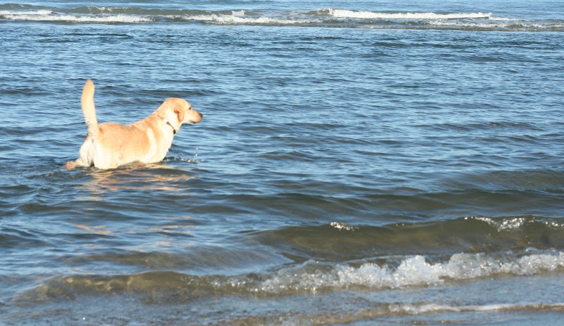 cabana up to her belly in the ocean