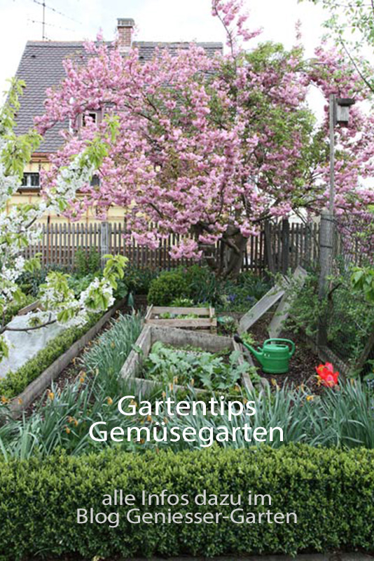 Gartentips