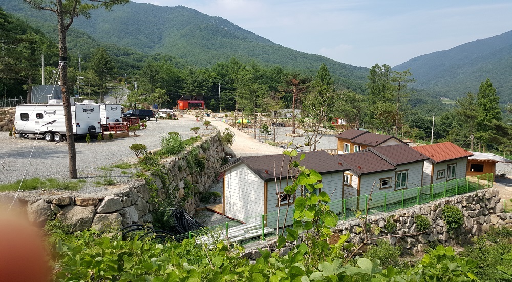 골드타운하우스