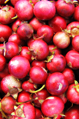 iphone wallpaper background