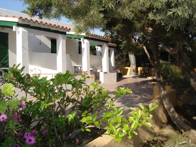 Apartamento en Formentera-Reservas apartamentos,bungalows-APARTAMENTOS LA PALMERA -Playa Migjorn