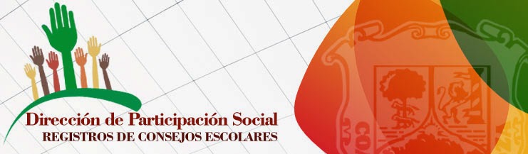 CONSEJOS DE PARTICIPACIÓN SOCIAL