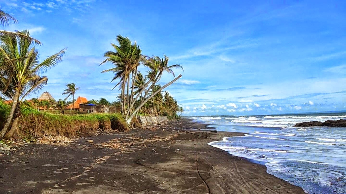 Tanah Los Pantai di Tabanan Bali Tanah Dijual Depan