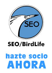 SEO/BirdLife