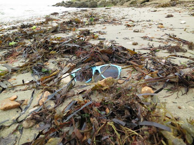 Pair of blue, plastic sunglasses washed up with seaweed on sandy beach