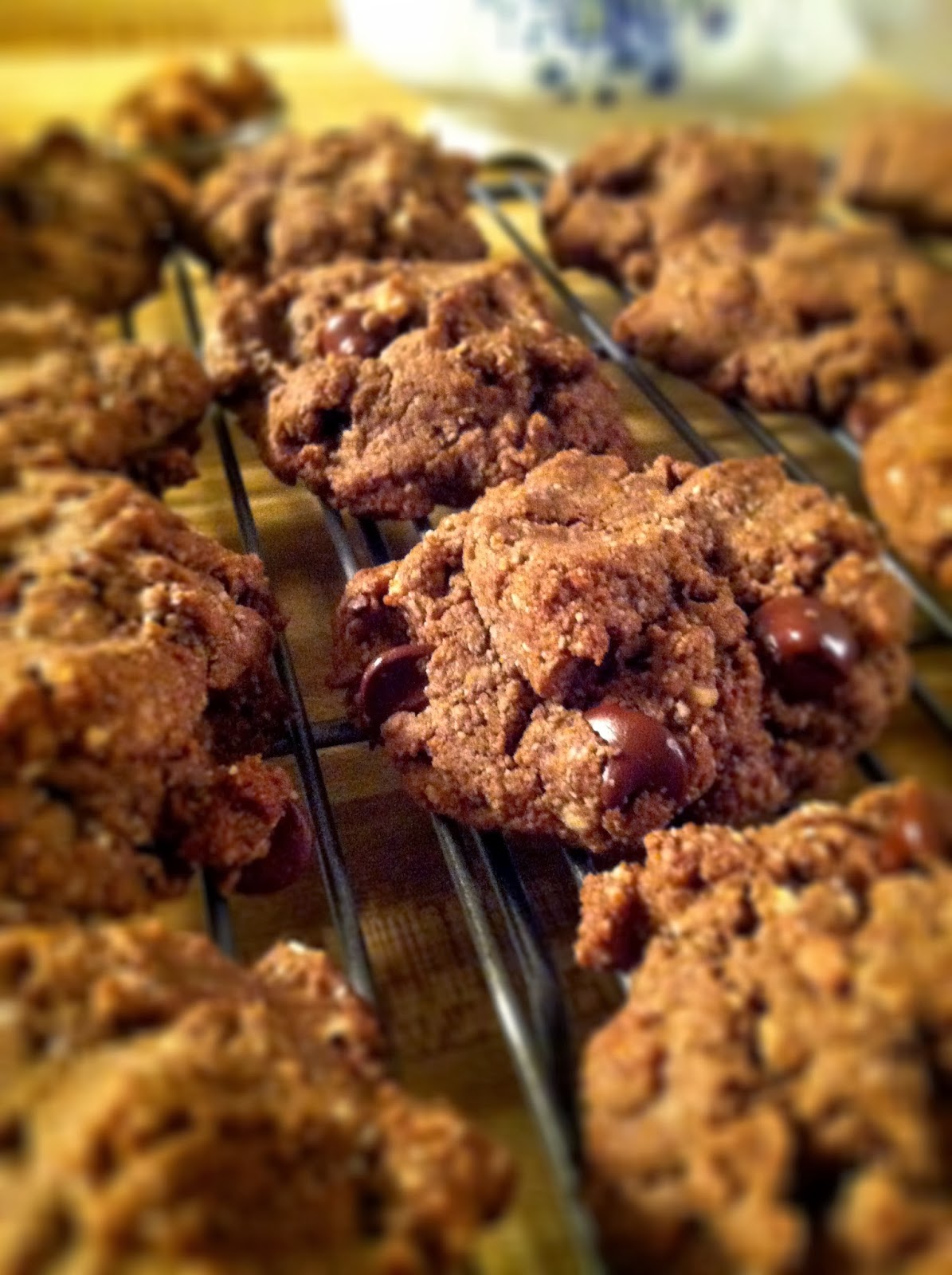 The Falling Acorn : Cocoa Almond Cookies