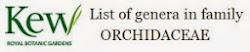 List of genera in family ORCHIDACEAE