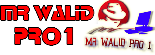 1 Mr Walid Pro