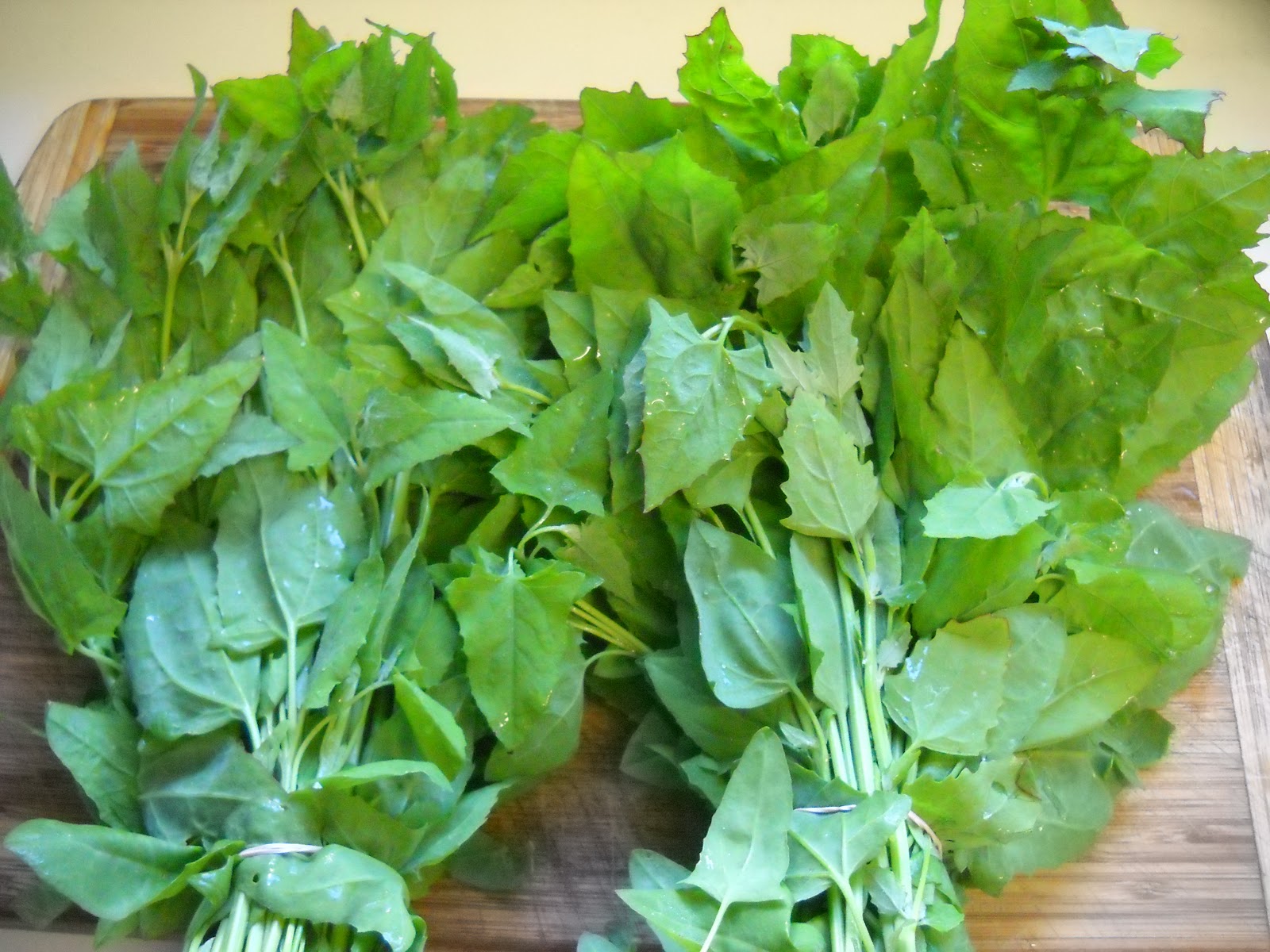 Blessed Vegan Life Tofu with Wild Spinach and Almonds