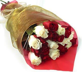 نقره لتكبير أو تصغير الصورة ونقرتين لعرض الصورة في صفحة مستقلة بحجمها الطبيعي