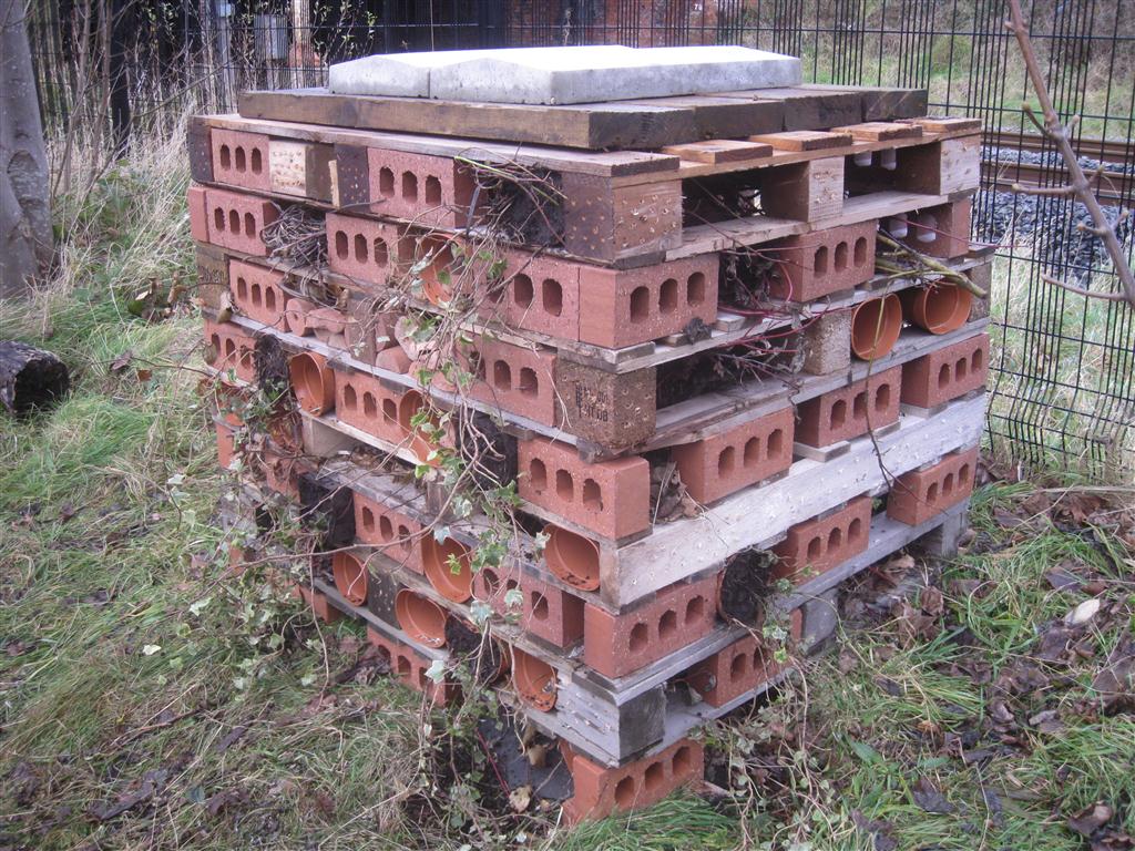 Minibeast Hotel