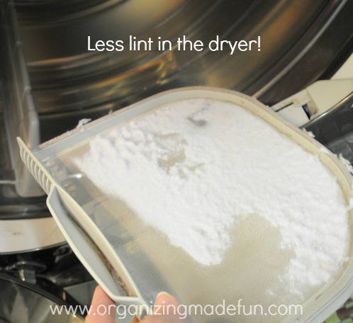 Dryer lint