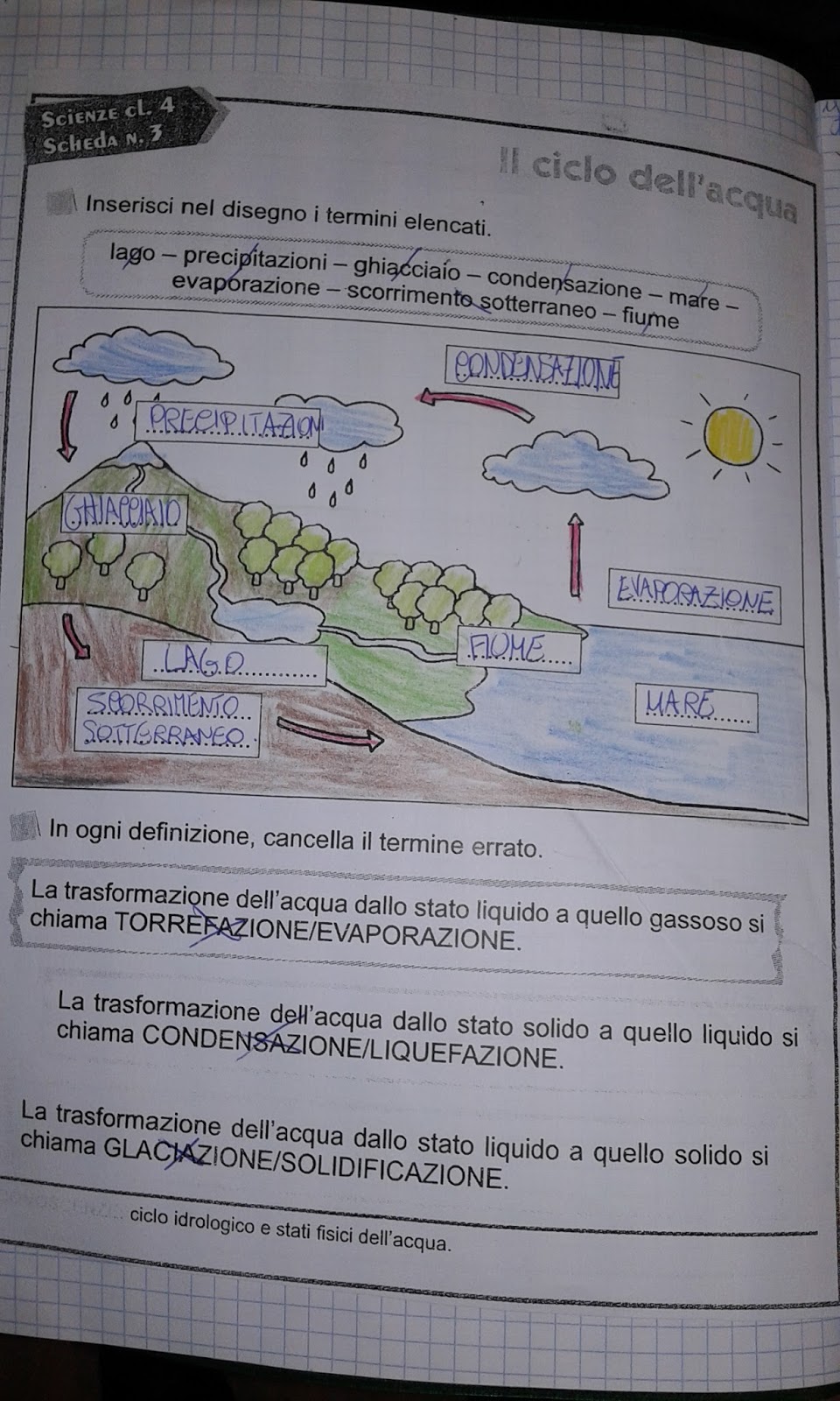 LA MAESTRA MARIA TI SALUTA: SCIENZE CLASSE 4^