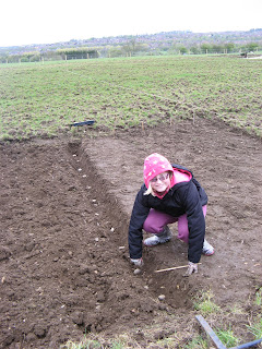 emily planting potatoes
