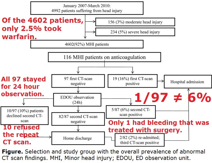 Ct+scan+brain+damage