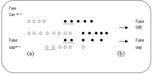 Blog Kimia Man 2 Klaten Sifat Koligatif Larutan