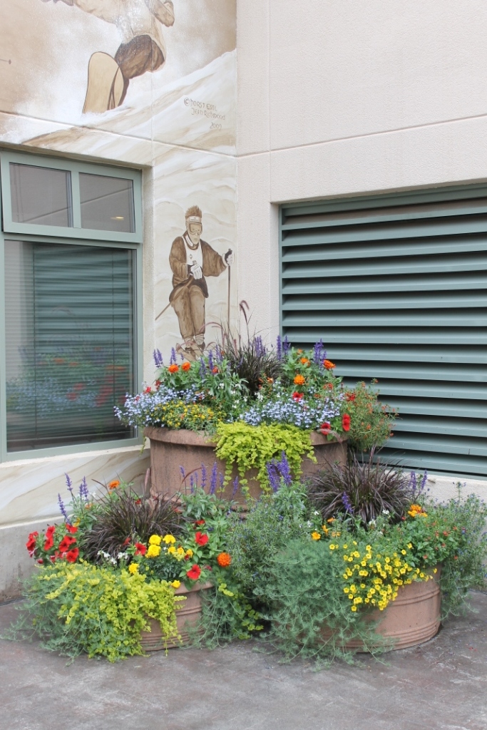 Miss Kopy Kat The Flowers of Vail