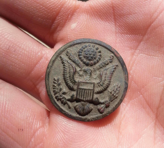 Daily News Blog 13 Shocking Things Found In Backyard