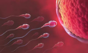 HOW TO TACKLE UNEXPLAINED INFERTILITY (IDIOPATHIC INFERTILITY)