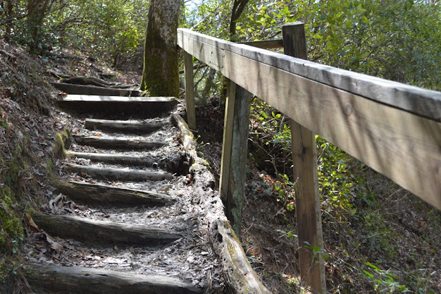 Minnehaha stairs - Tallulah Gorge - The City Dweller