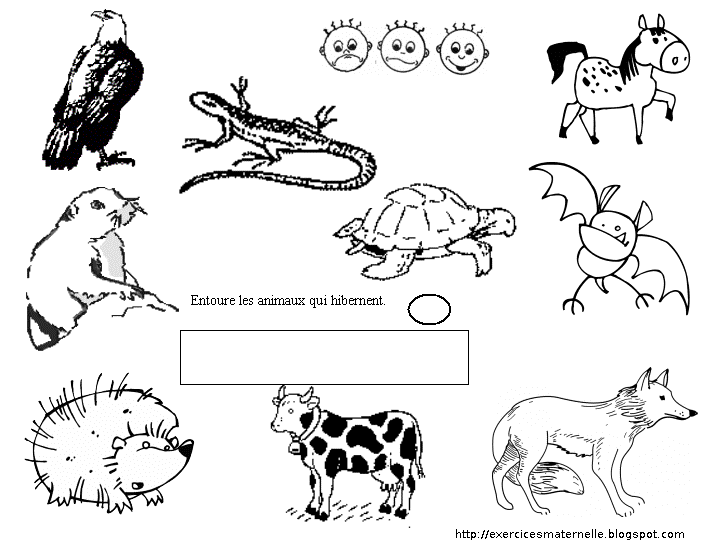 Maternelle Entoure les animaux qui hibernent