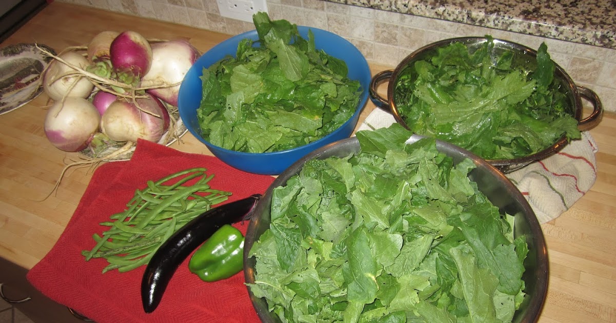 Zucchini Explosion Project Turnip Rutabaga Greens Delicious And Different
