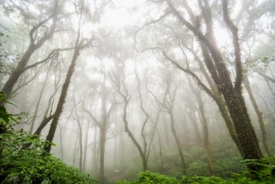 ID 100228514 Image courtesy of moggara12 / FreeDigitalPhotos.net