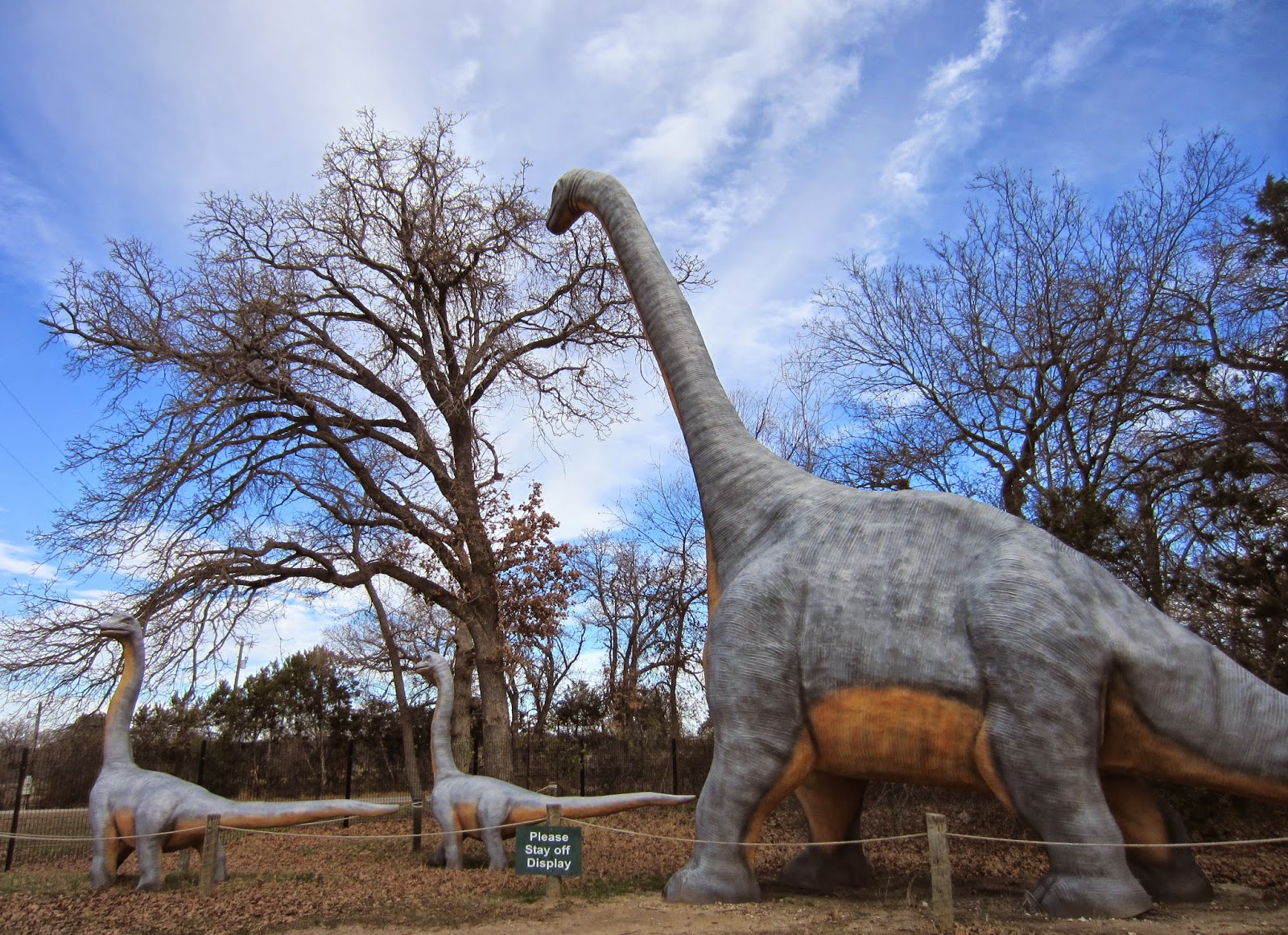 Souvenir Chronicles: TEXAS: DINOSAUR VALLEY STATE PARK, THE FORT WORTH STOCKYARDS, AND THE Y. O ...