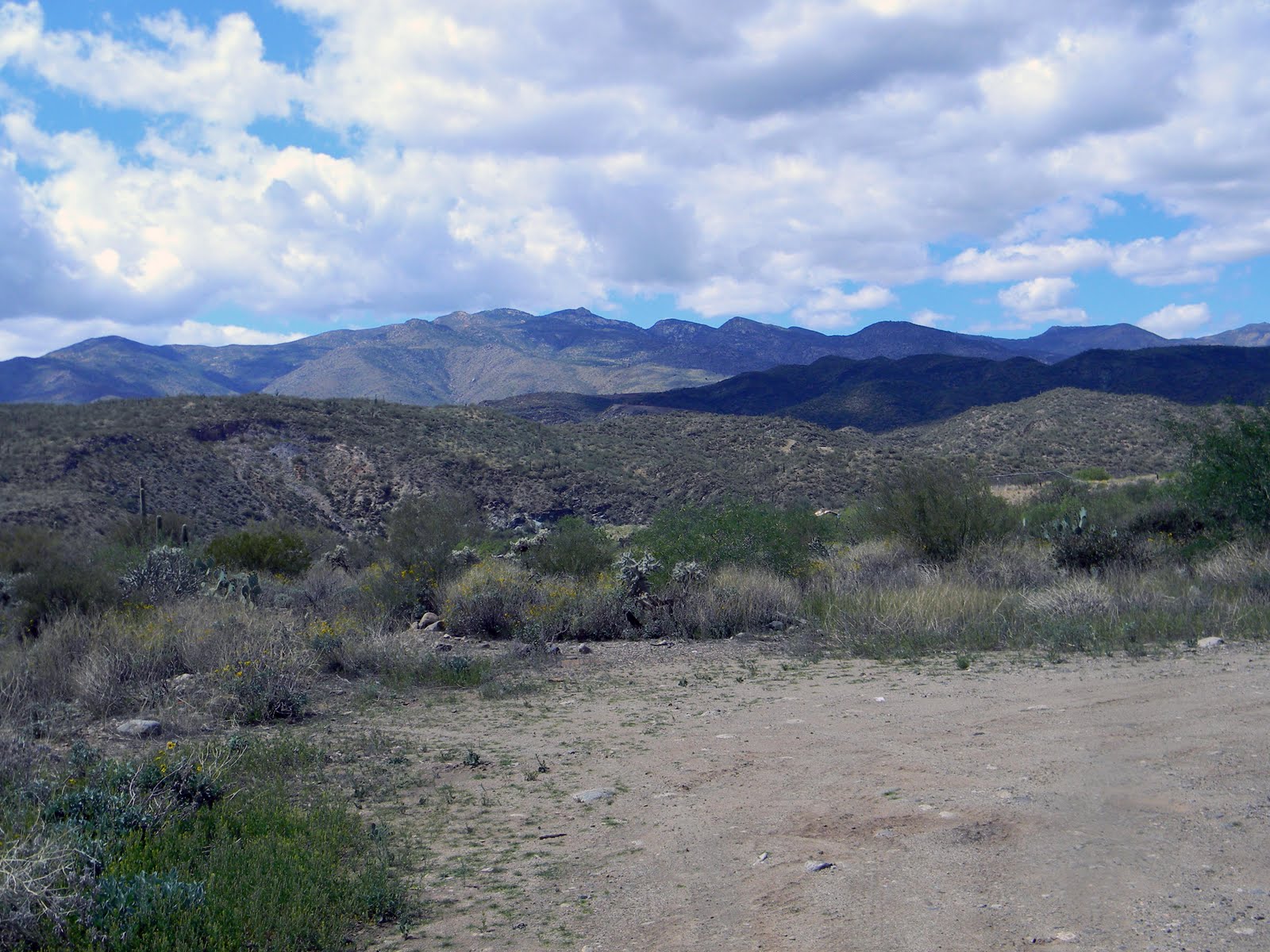 The Bradshaw Mountains