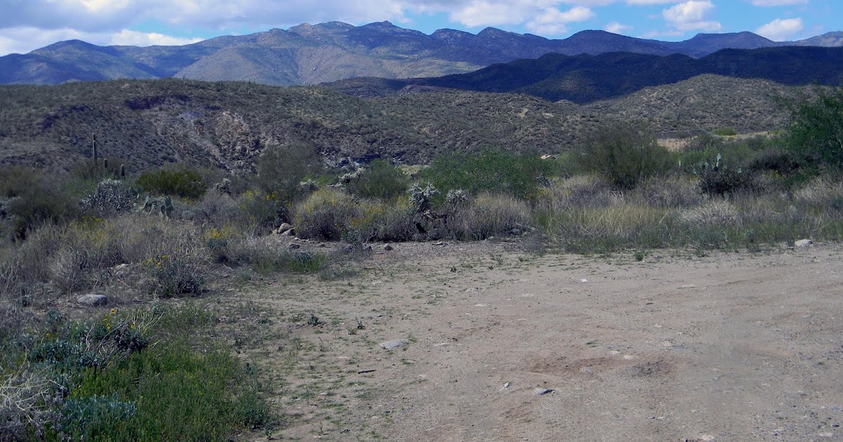 The Bradshaw Mountains