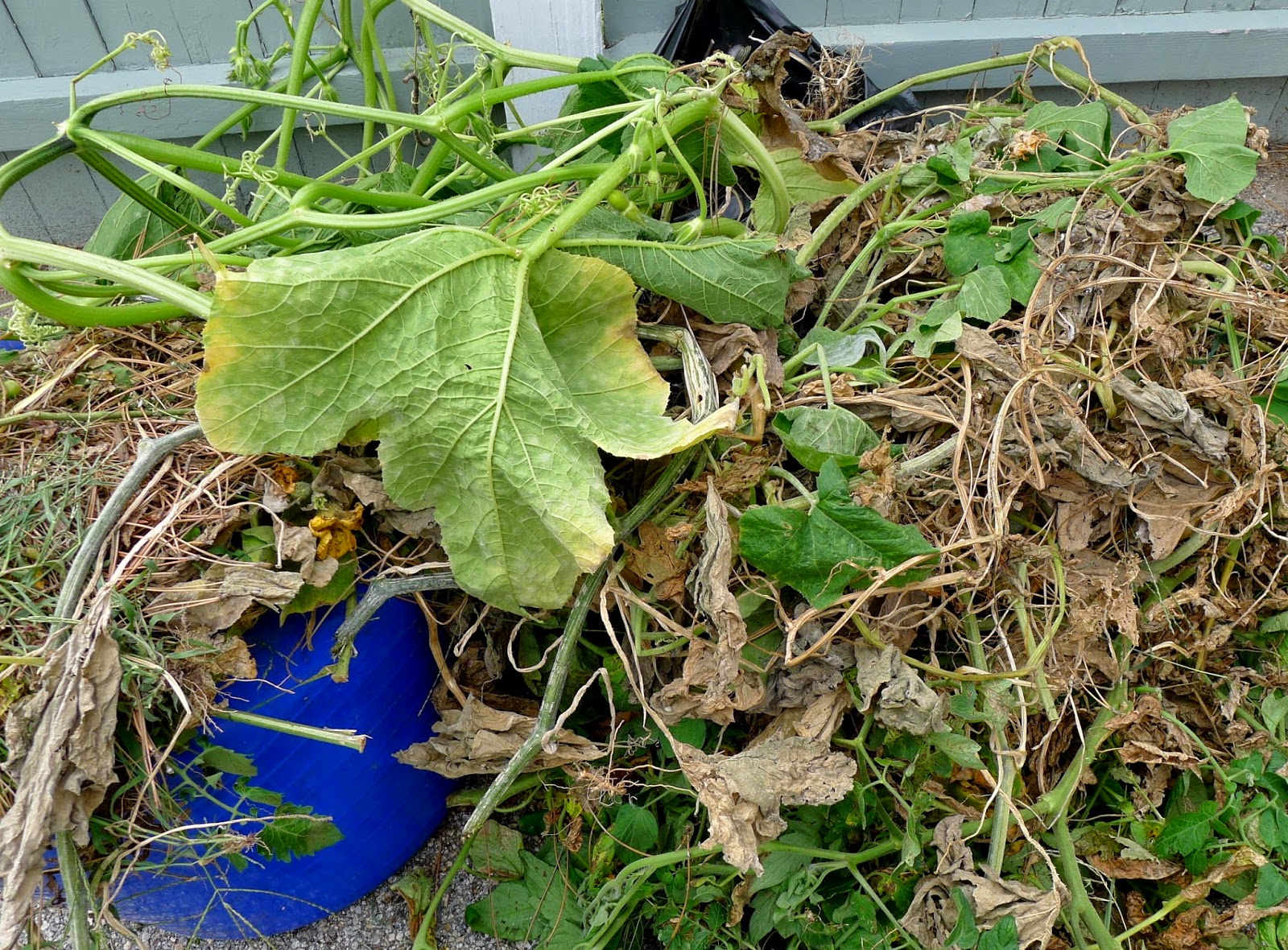 Less Noise, More Green Fall Garden Clean Up compost, lawn bag or trash?