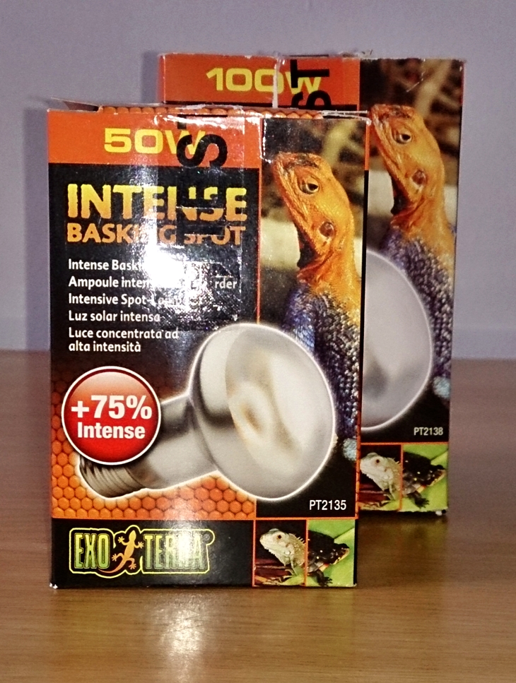 Bearded Dragon Care Bearded Dragon Lighting and Heating.