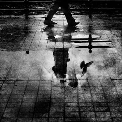 نقره لتكبير أو تصغير الصورة ونقرتين لعرض الصورة في صفحة مستقلة بحجمها الطبيعي