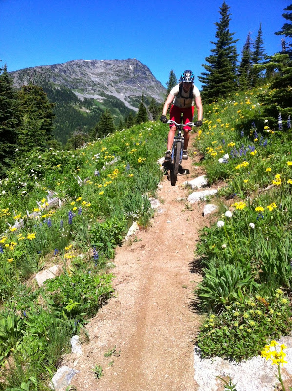 the wilds mountain bike trail