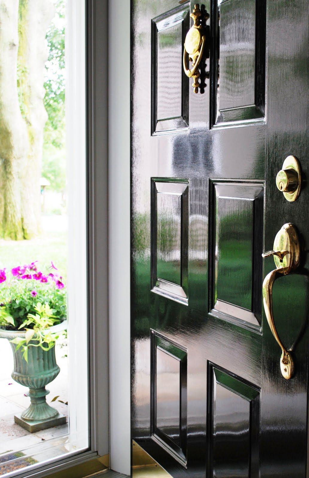 Chinoiserie Chic The Front Door Glossy Black
