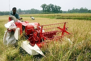 mesin pemanen padi
