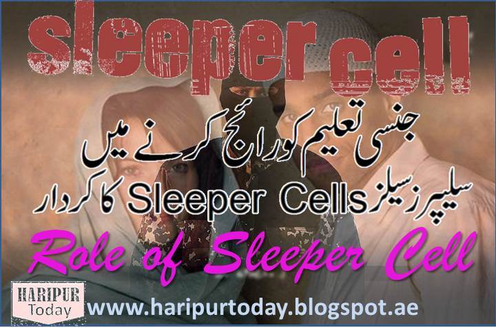 Sleeper Cells