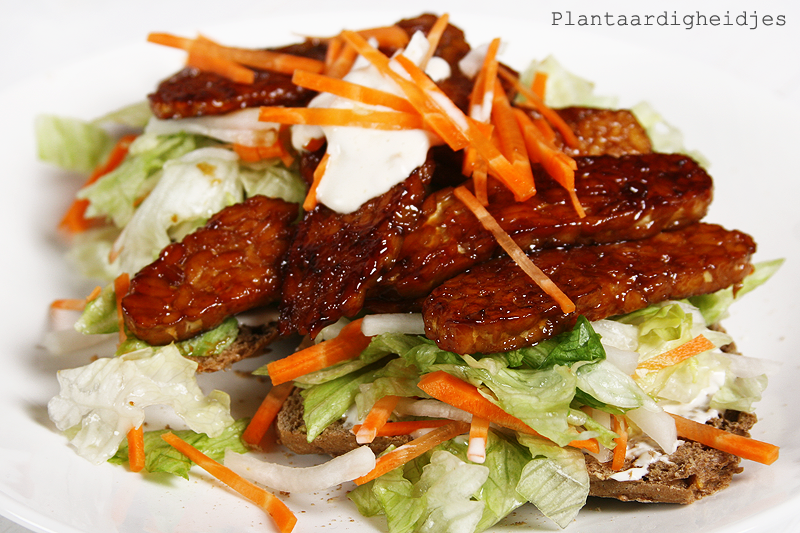 Tempeh teriyaki sandwich met miso veganaise Plantaardigheidjes