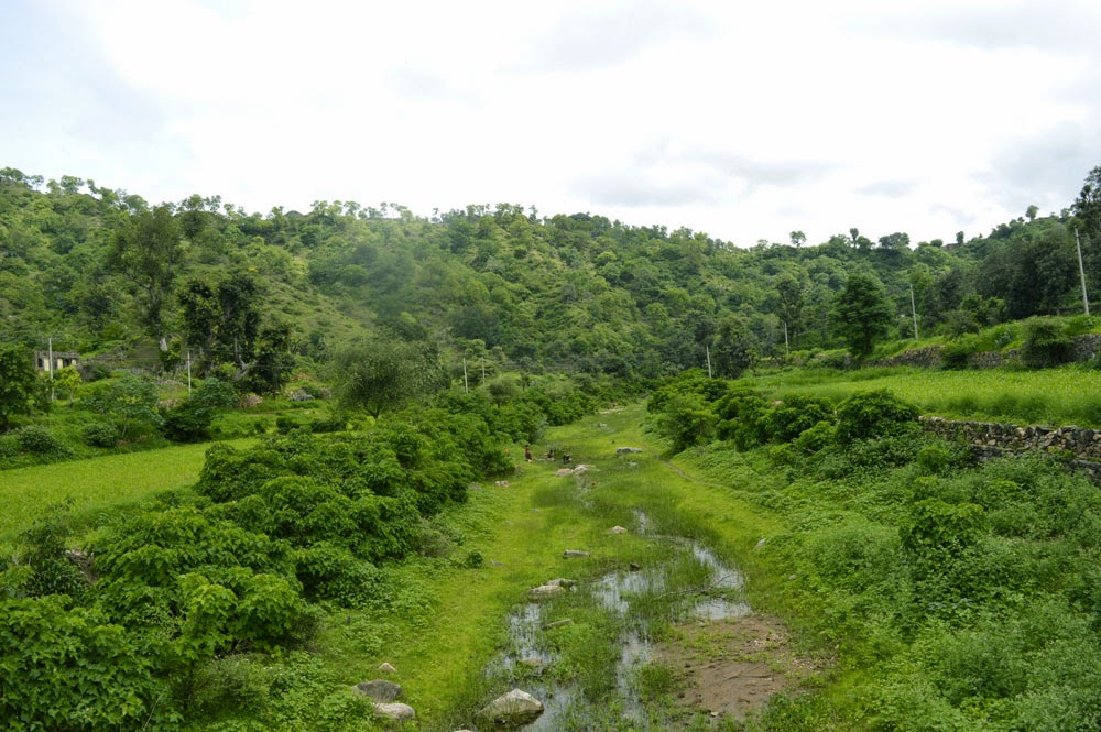 Aravalli Hills forest udaipur travel2 aravalli hills2