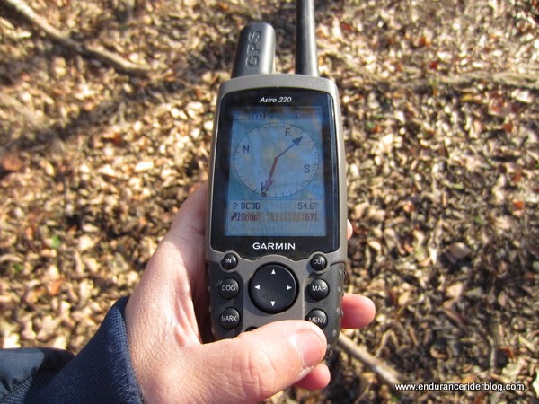 garmin astro 220 for sale