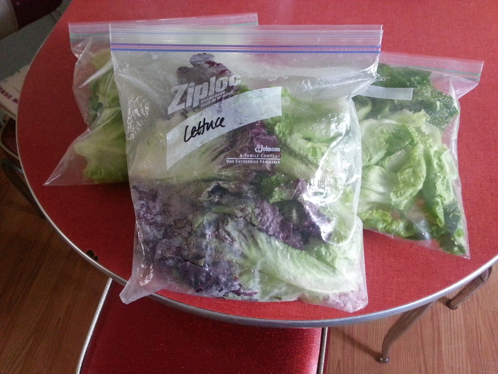 full tummies Lettuce Prep and Storage