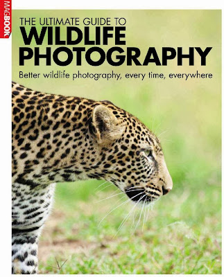 Download The Ultimate Guide to Wildlife Photography HQ PDF