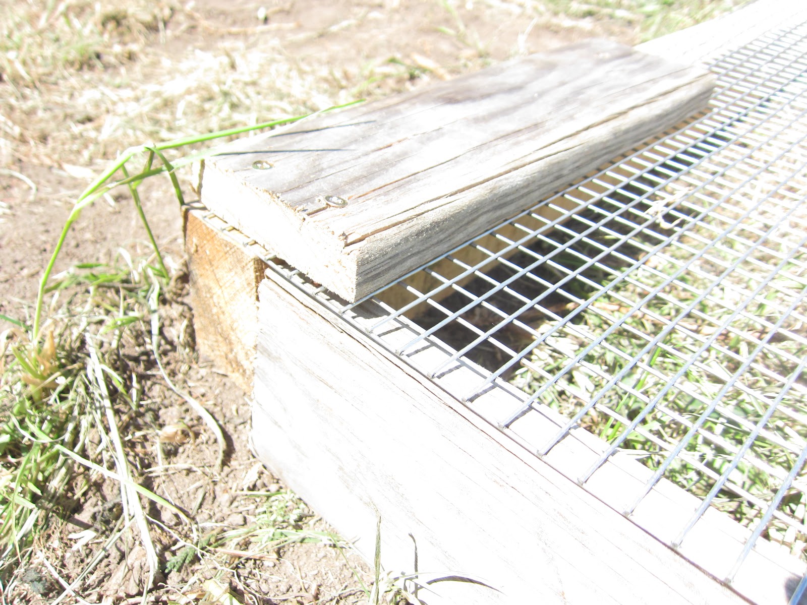 HOME OF HOMEMADE TREASURES A HANDMADE SIFTER FOR THE GARDEN