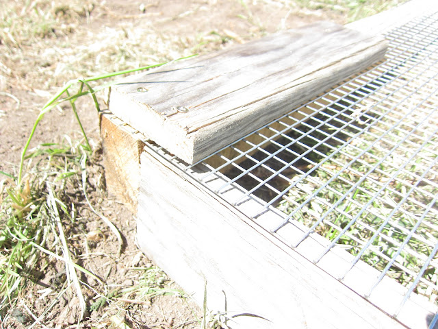 Instructions to make a sifter for the garden