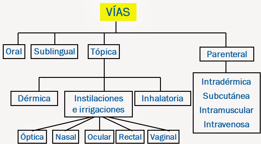 Cuáles Son Las Vías De Administración josecuahutemocsg.blogspot.com