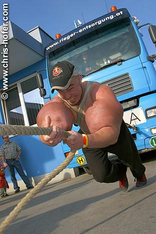 Synthol Users