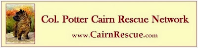 Col. Potter Cairn Rescue Network