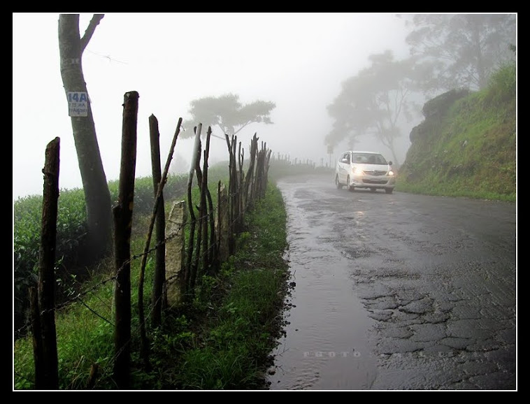 munnar